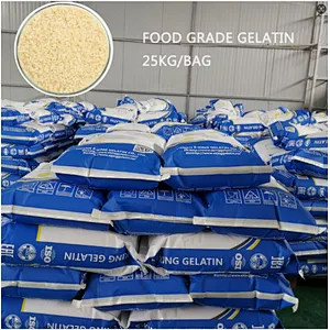 Hot sale food grade gelatin powder for food beverage